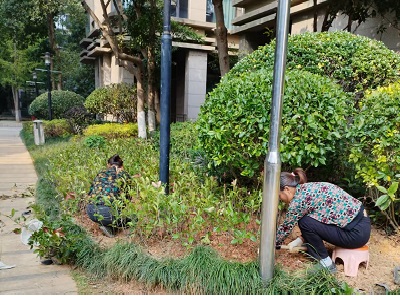 園林養護
